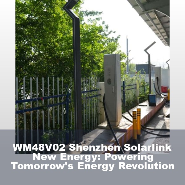 WM48V02 Shenzhen Solarlink New Energy: Powering Tomorrow's Energy Revolution